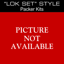 Baker Lok Set Packer Kits