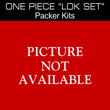 Baker One Piece Lok Set Packer Kits
